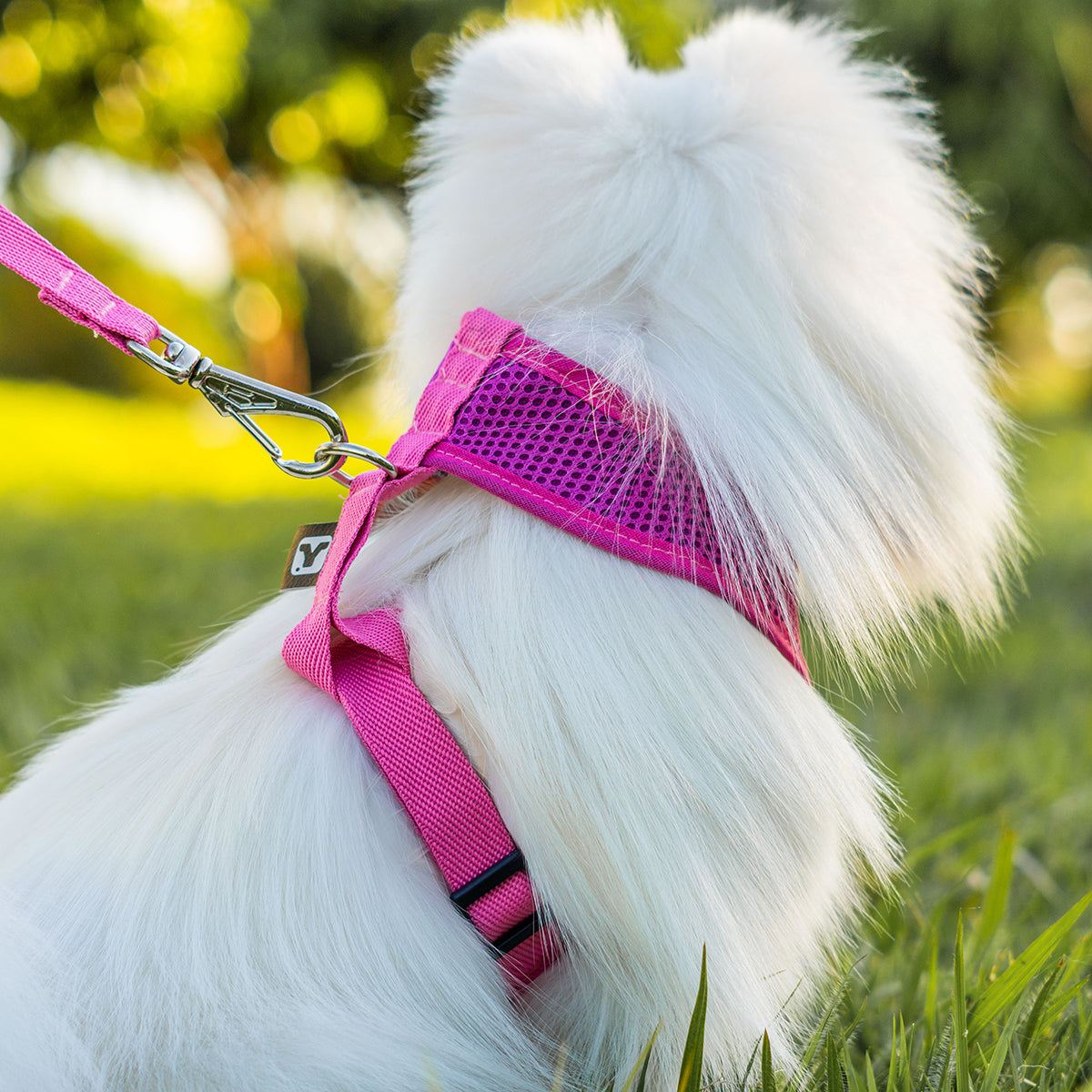 Peitoral para Cachorros Air Flow Ajustável - Pure Pink
