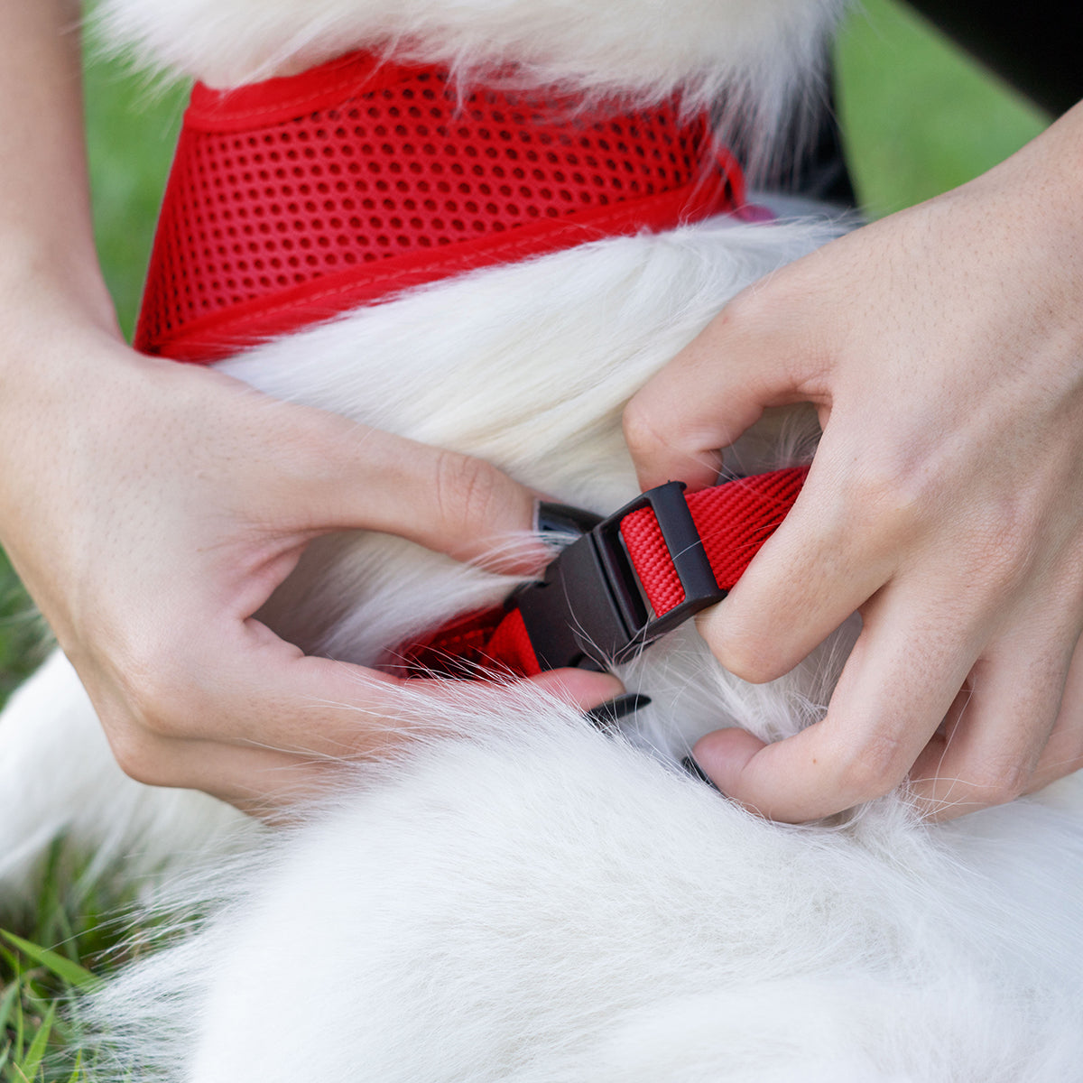Peitoral para Cachorros Air Flow Ajustável - Pure Red