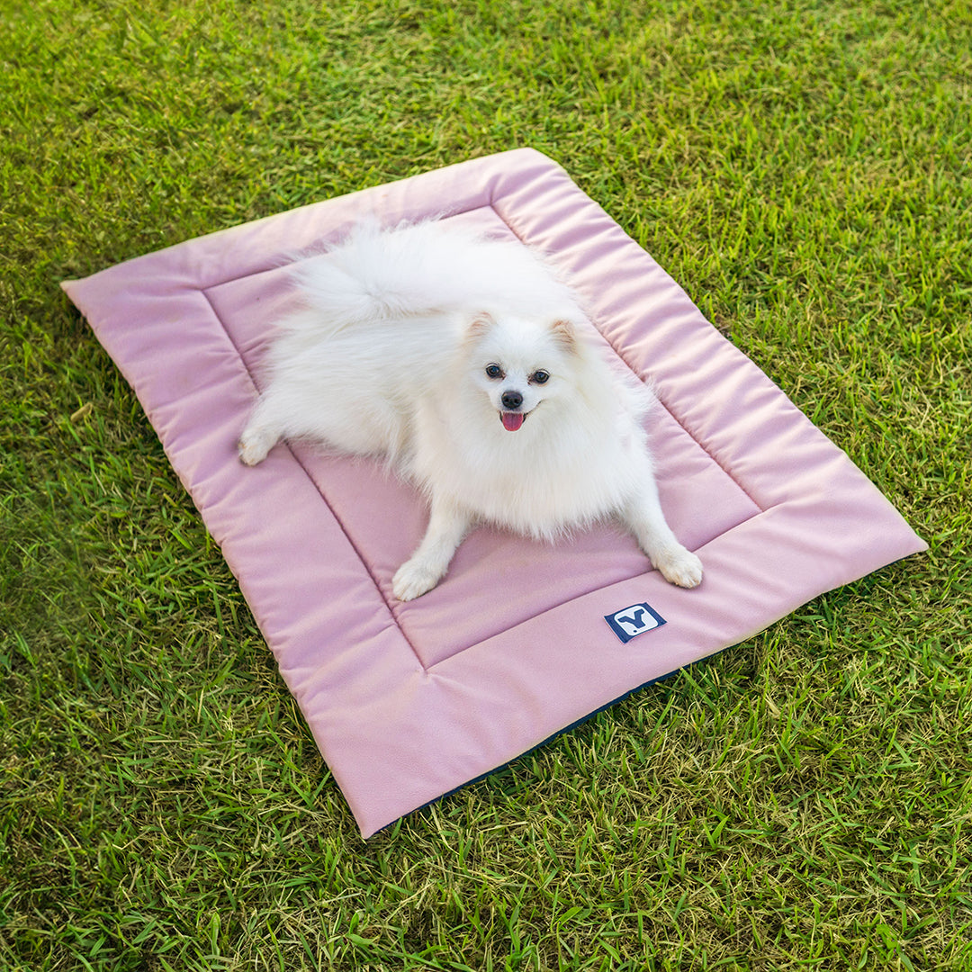 Colchonete para cachorros - Rosa