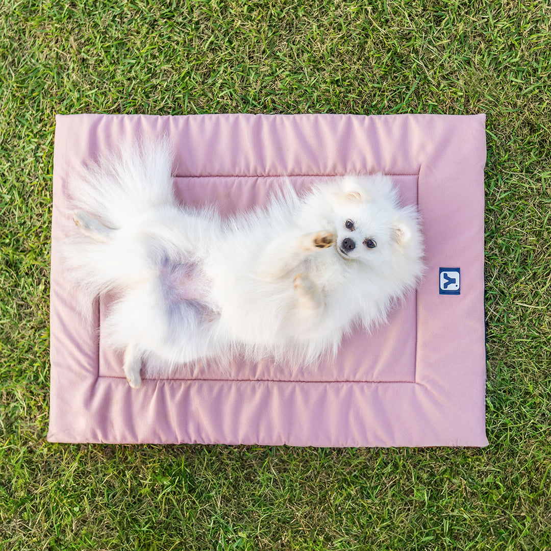 Colchonete para cachorros - Rosa