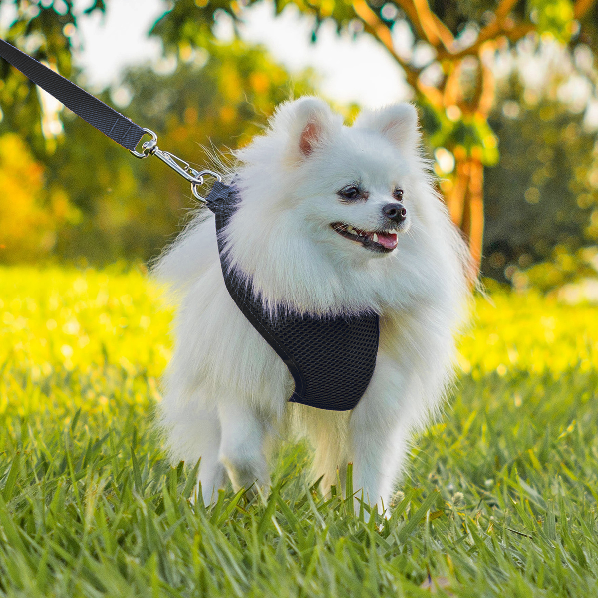 Peitoral para Cachorros Air Flow Ajustável - Pure Black