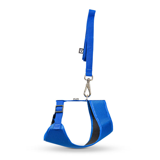 Peitoral para Cachorros Air Flow Ajustável - Pure Blue