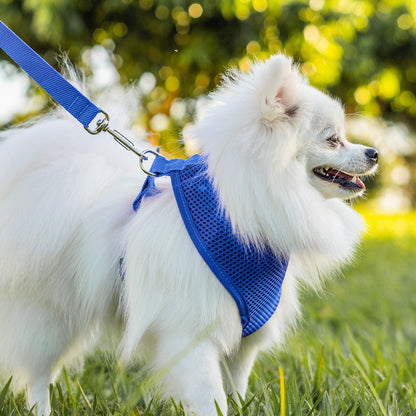 Peitoral para Cachorros Air Flow Ajustável - Pure Blue
