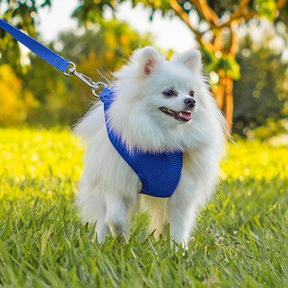 Peitoral para Cachorros Air Flow Ajustável - Pure Blue