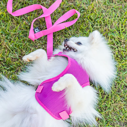 Peitoral para Cachorros Air Flow Ajustável - Pure Pink
