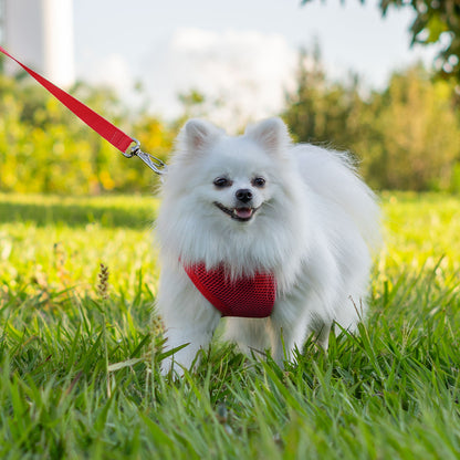 Peitoral para Cachorros Air Flow Ajustável - Pure Red