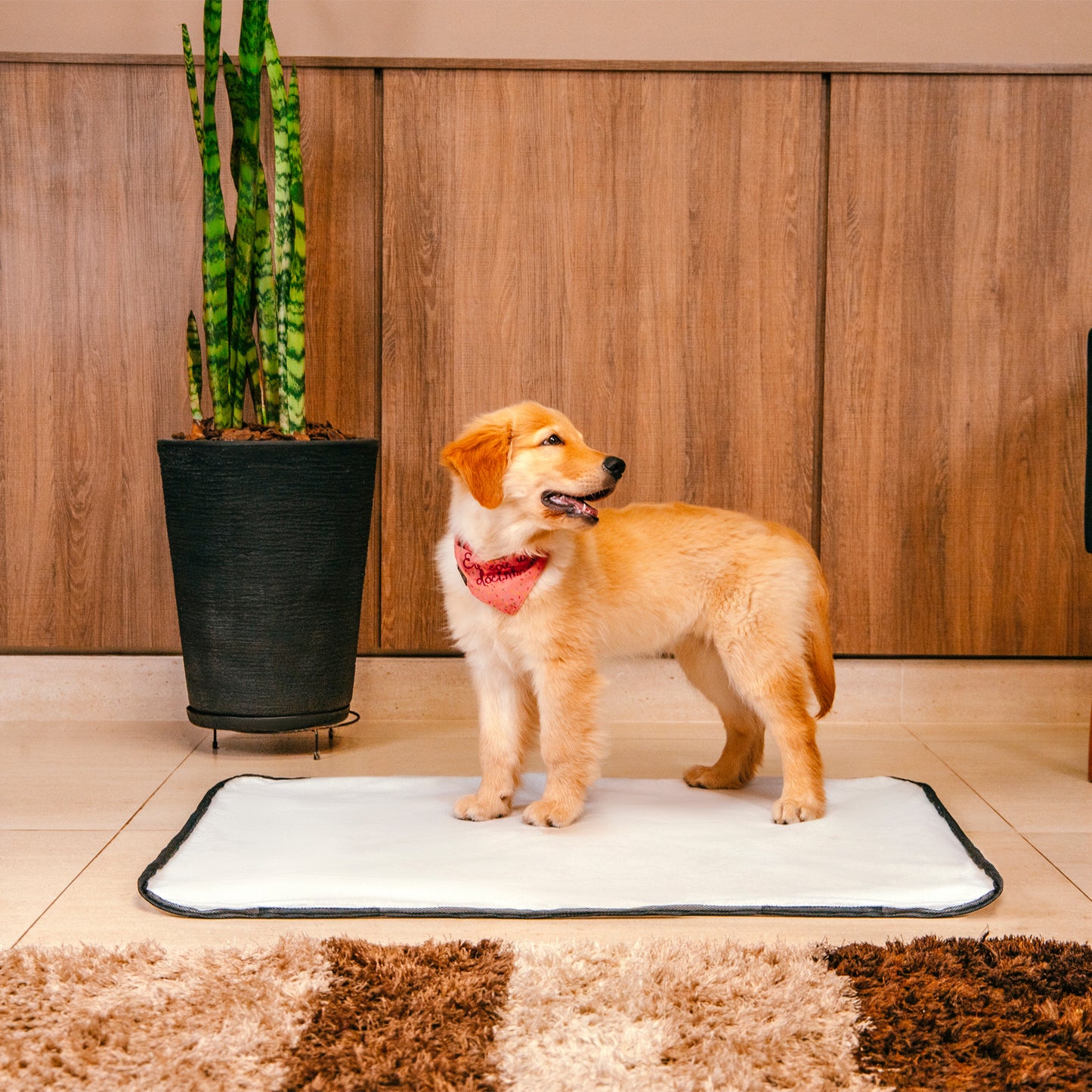 Tapete Higiênico Lavável para Cachorros Yolopad - Branco