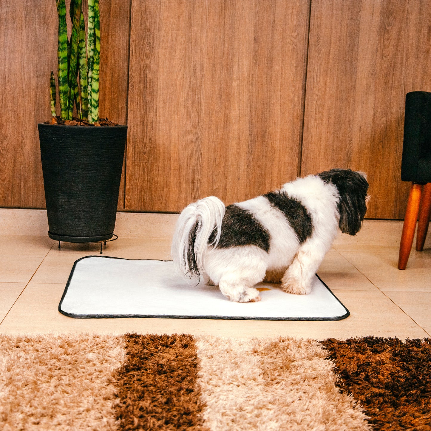 Tapete Higiênico Lavável para Cachorros Yolopad - Branco